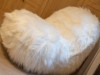 Bild 36