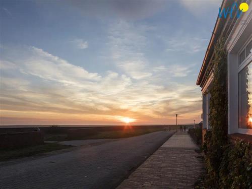 Ferieleilighet - 4 personer -  - Billstr. - 26571 - Juist