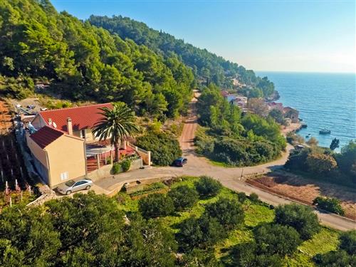 Ferielejlighed - 4 personer -  - Gdinj 300, uvala Tvrdni Dolac - 21467 - Gdinj-Virak