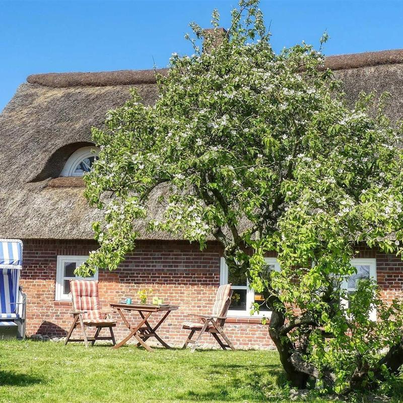 Sommerhus - 2 personer -  - Dorfstraße - 25813 - Simonsberg