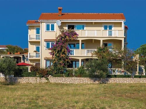 Holiday apartment - 3 persons -  - Put Sv.Nikole - Pag-Povljana - 23249 - Povljana