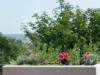 Bild 17