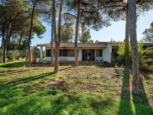 Ferienhaus - 7 Personen -  - Villasimius - 09049
