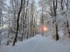 Bild 53