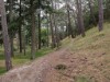 Billede 18