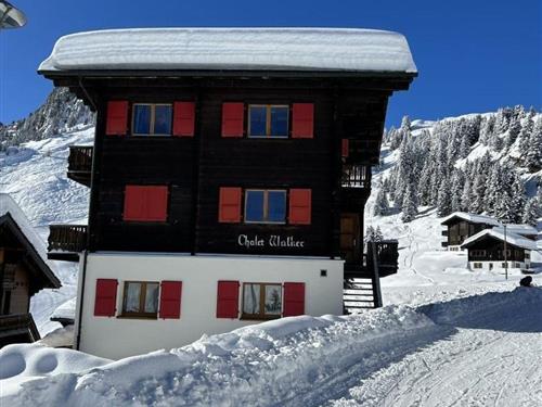 Holiday apartment - 4 persons -  - Riederalp - 3987