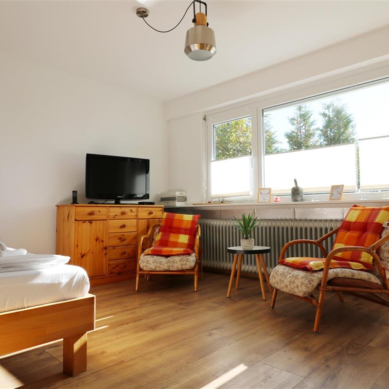 Ferielejlighed - 3 personer -  - Schuppenhörnlestraße - 79868 - Feldberg (Schwarzwald)