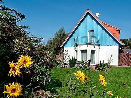 Holiday Home/Apartment - 4 persons -  - Mühlenstr. - 18374 - Zingst