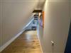 Bild 41