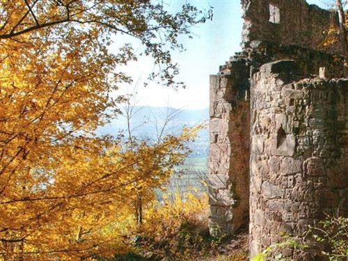 Holiday apartment - 4 persons -  - Bachrahm - 97475 - Zeil Am Main