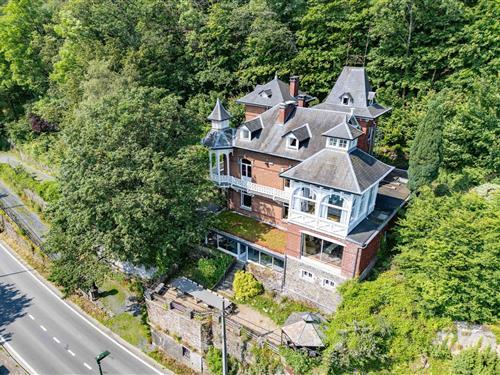 Château / Castle - 19 persons -  - 6980 - La Roche-En-Ardenne