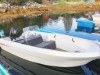 Image 51 - Boat