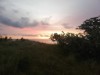 Image 16