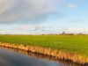 Bilde 29