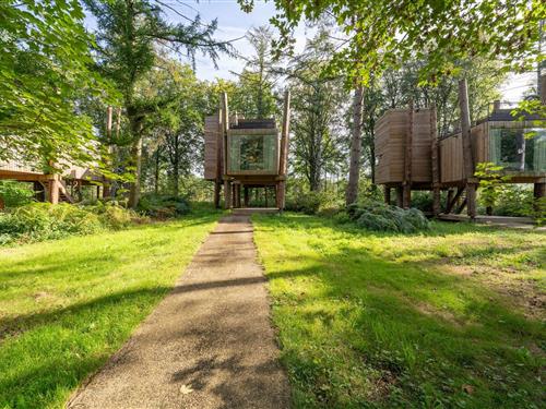 Fritidshus - 4 personer -  - 7640 - Antoing