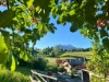 Bilde 23