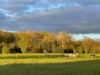 Image 14