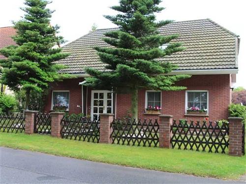 Ferielejlighed - 2 personer -  - Starsow - 17252 - Mirow / Starsow