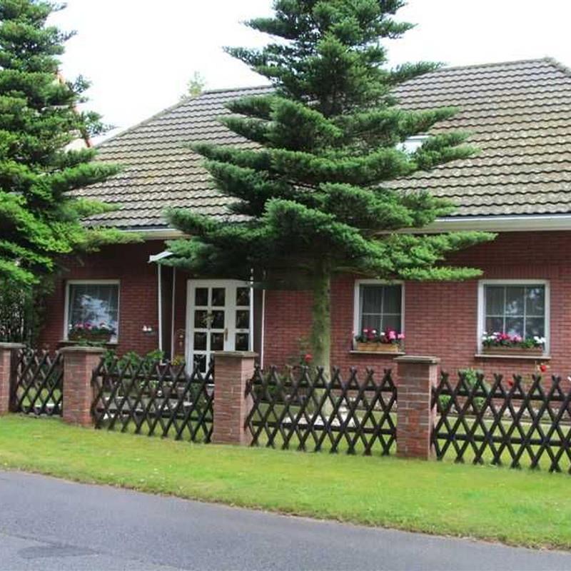 Ferielejlighed - 2 personer -  - Starsow - 17252 - Mirow / Starsow