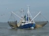Billede 28