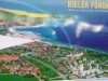 Billede 1