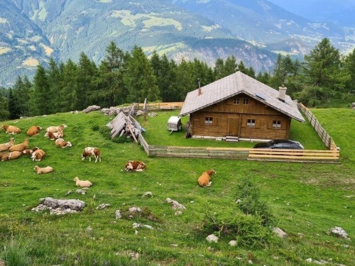 Sommerhus - 10 personer -  - Oberpirkach - 9781 - Oberpirkach