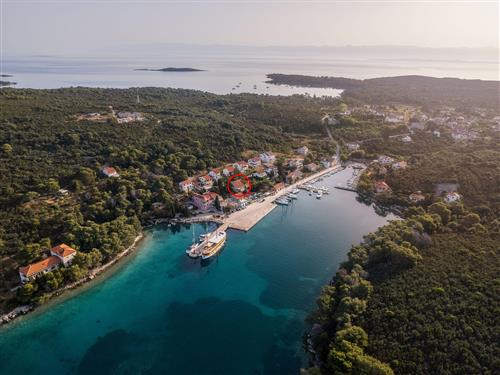 Ferielejlighed - 2 personer -  - Molat - 23292 - Molat