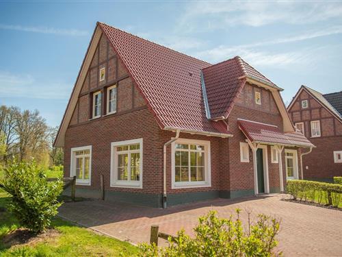 Feriehus - 14 personer -  - 48455 - Bad Bentheim