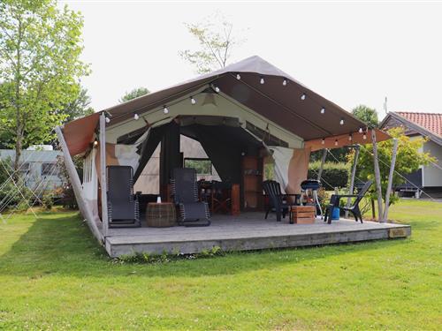 Glamping telt - 4 personer -  - 9286EV - Twijzel