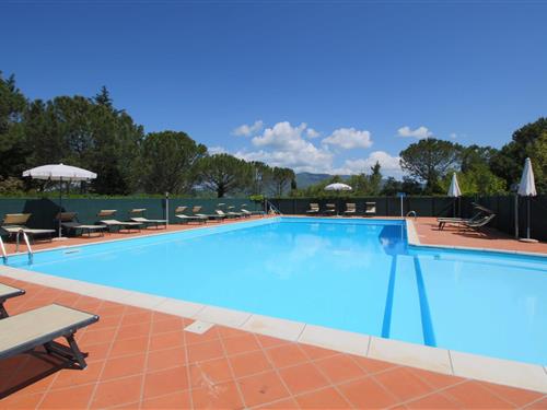 Bondehus - 4 personer -  - 52100 - Arezzo
