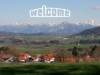 Bild 36
