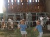 Bild 14