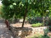 Bilde 6