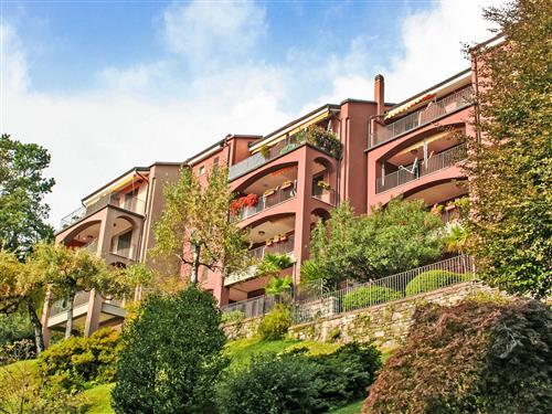 Holiday apartment - 8 persons -  - Oggebbio - 28824