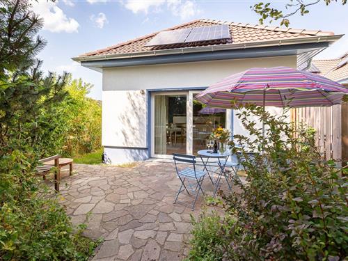 Ferielejlighed - 3 personer -  - Lindenstraße - 18347 - Dierhagen