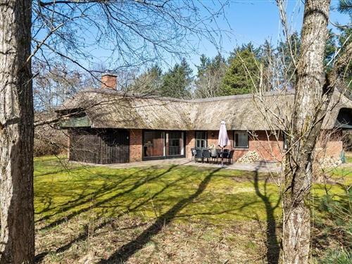 Sommerhus - 6 personer -  - Svollingvej - Vester Husby - 6990 - Ulfborg
