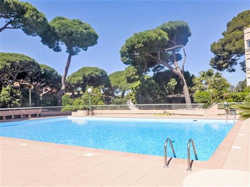 Sommerhus - 4 personer -  - Hyères - 83400