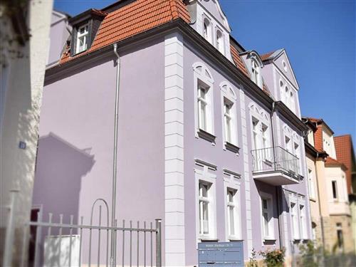 Ferienhaus - 2 Personen -  - Wilhelm-Breithaupt Straße - 06618 - Naumburg