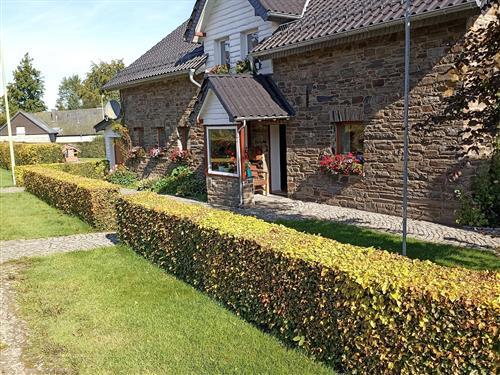 Ferielejlighed - 4 personer -  - Triftstr. - 52156 - Monschau / Höfen