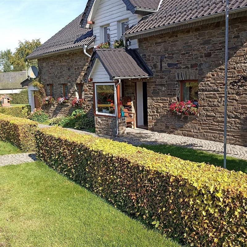 Ferielejlighed - 4 personer -  - Triftstr. - 52156 - Monschau / Höfen