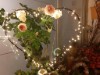Bild 16
