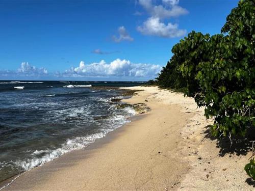 Semesterlägenhet - 3 personer -  - 97160 - Le Moule