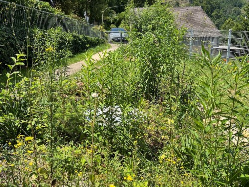Ferielejlighed - 3 personer -  - Postkellerweg - 93339 - Riedenburg