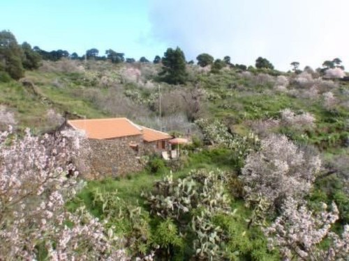 Sommerhus - 3 personer -  - El Pinar De El Hierro - 38914