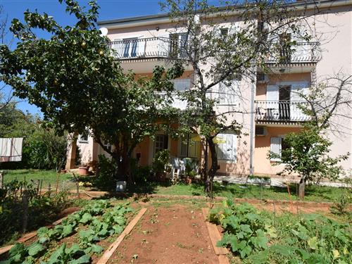 Ferielejlighed - 2 personer -  - Krk/Njivice - 51512