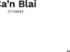 Bilde 10