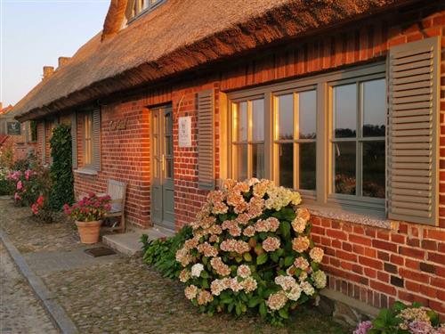 Ferielejlighed - 6 personer -  - Neu Reddevitz - 18586 - Lancken-Granitz