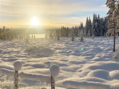  - 6 personer -  - Båtbrenna - Tisleia - 2923 - Tisleidalen