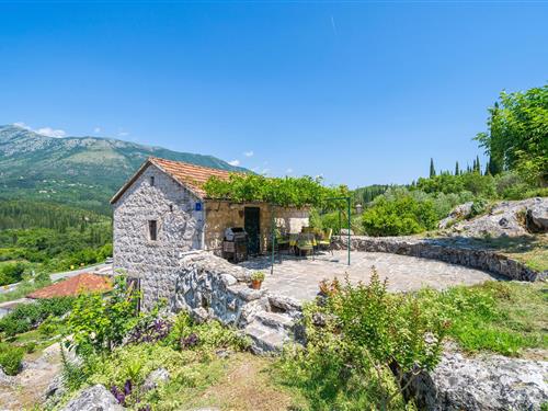 Sommerhus - 3 personer -  - Karasovici - Dubrovnik-Gruda - 20215 - Gruda