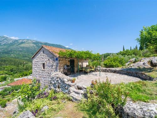 Sommerhus - 3 personer -  - Karasovici - Dubrovnik-Gruda - 20215 - Gruda